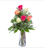 Six Roses –  Your Beautiful Flowers, Scranton PA