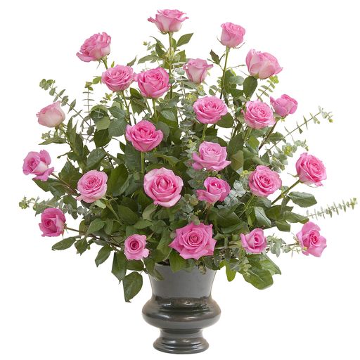 Pink Rose Supreme –  Your Beautiful Flowers, Scranton PA