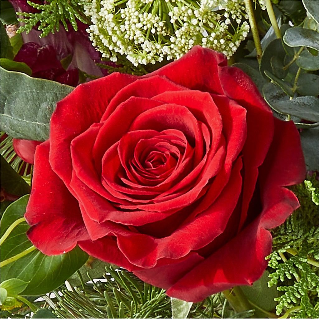 Cranberry Fizz Bouquet –  Your Beautiful Flowers, Scranton PA