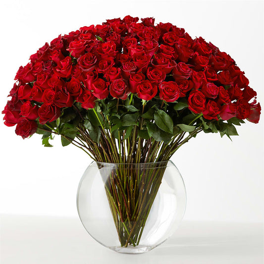 The Idealist –  Your Beautiful Flowers, Scranton PA