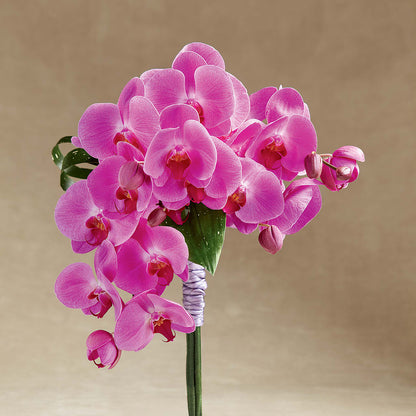 Glorious Bouquet –  Your Beautiful Flowers, Scranton PA
