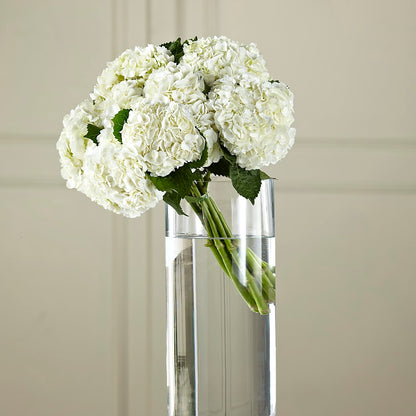 White Hydrangea Hand-Tied Bouquet –  Your Beautiful Flowers, Scranton PA