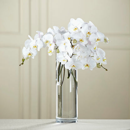 White Phalaenopsis Bouquet –  Your Beautiful Flowers, Scranton PA