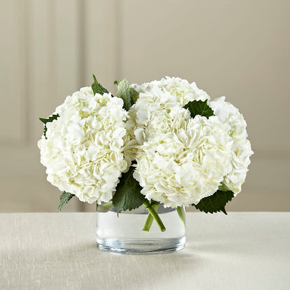 White Hydrangea Bouquet –  Your Beautiful Flowers, Scranton PA